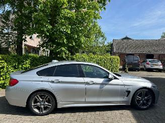  BMW 4-serie GRAN COUPE 420D HIGH EXECUTIVE PANO 2014/9
