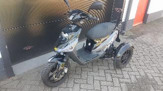 Schade bestelwagen PGO  PGO driewielscooter 2012/1